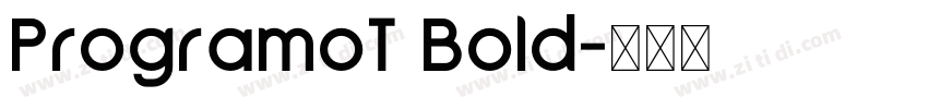 ProgramoT Bold字体转换